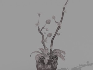 plant set Model 3D