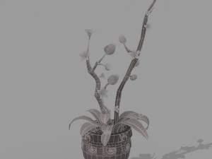plant set 3D Model