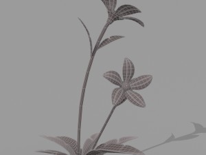 plant set Model 3D
