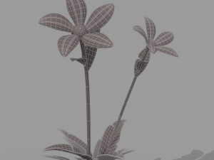plant set Model 3D