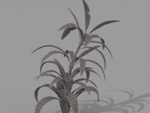 plant set Model 3D