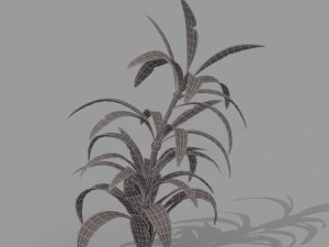 plant set 3D Model