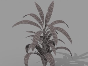 plant set Model 3D