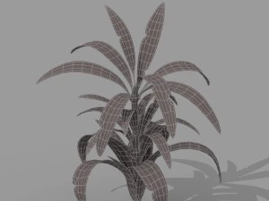plant set 3D Model