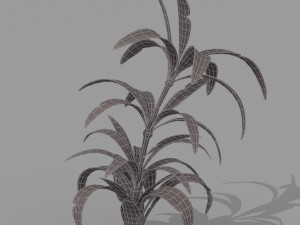 plant set Model 3D