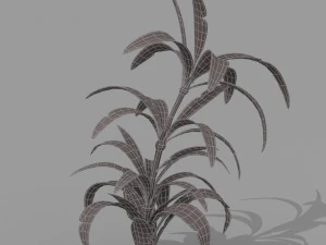 plant set 3D Model
