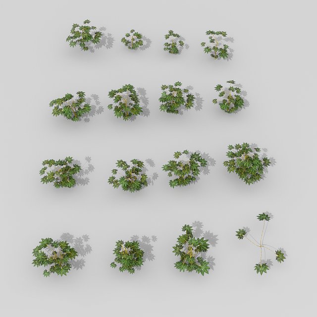 small shrub set Model 3D .c4d .max .obj .3ds .fbx .stl .blend 