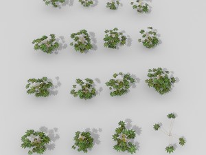 small shrub set 3Dモデル
