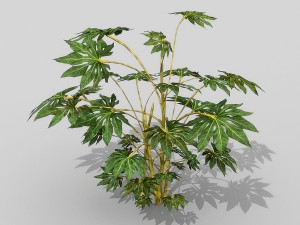 small shrub set Model 3D