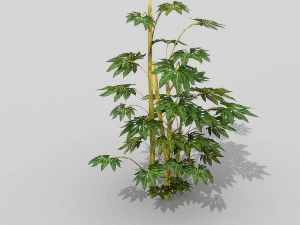 small shrub set 3D Model