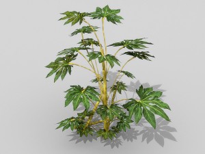 small shrub set Model 3D