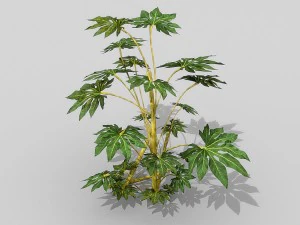 small shrub set 3D Model