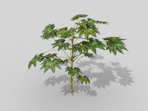 small shrub set Model 3D