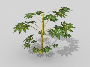 small shrub set Model 3D