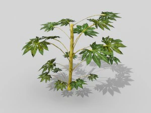small shrub set 3D Model