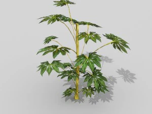 small shrub set 3D Model