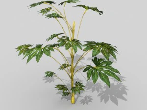 small shrub set 3D Model