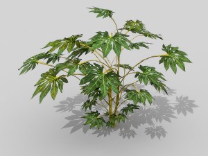 small shrub set Model 3D