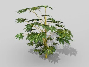 small shrub set 3D Model