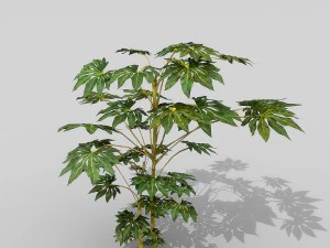 small shrub set 3D Model