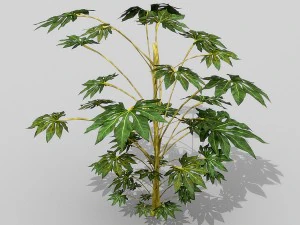 small shrub set 3D Model
