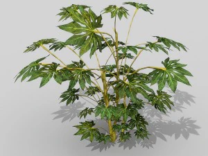 small shrub set 3D Model