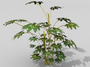 small shrub set Model 3D