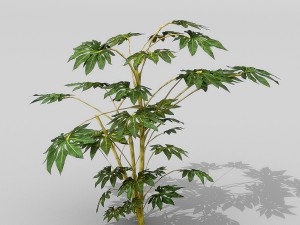 small shrub set Model 3D
