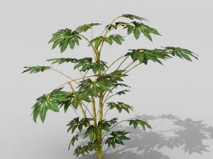 small shrub set 3D Model