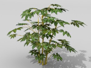 small shrub set Model 3D