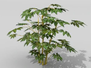 small shrub set 3D Model