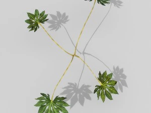 small shrub set 3D Model