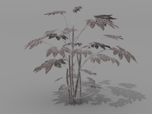 small shrub set Model 3D