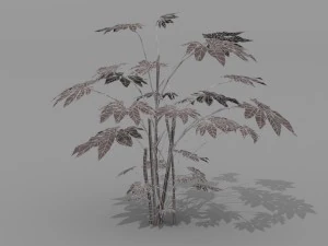small shrub set 3D Model