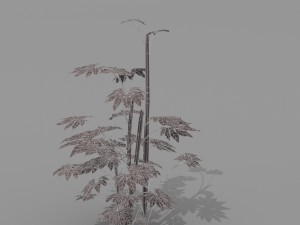 small shrub set Model 3D