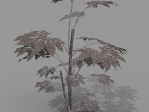 small shrub set 3D Model