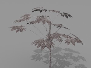 small shrub set Model 3D