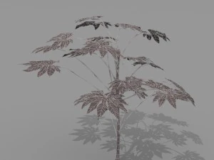 small shrub set 3D Model