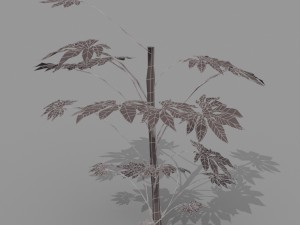 small shrub set Model 3D