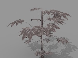 small shrub set Model 3D