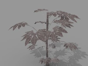 small shrub set 3D Model