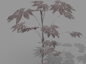 small shrub set Model 3D