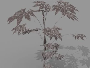 small shrub set 3D Model