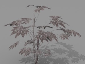 small shrub set Model 3D