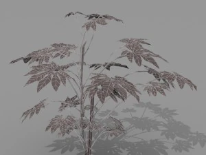 small shrub set 3D Model