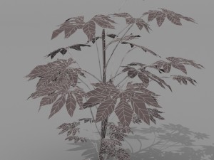 small shrub set Model 3D