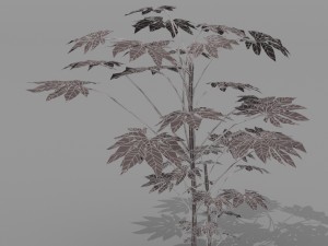 small shrub set Model 3D