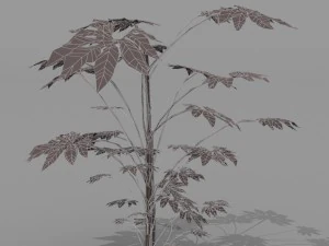 small shrub set 3D Model