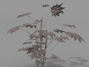 small shrub set Model 3D