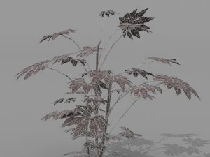 small shrub set 3D Model